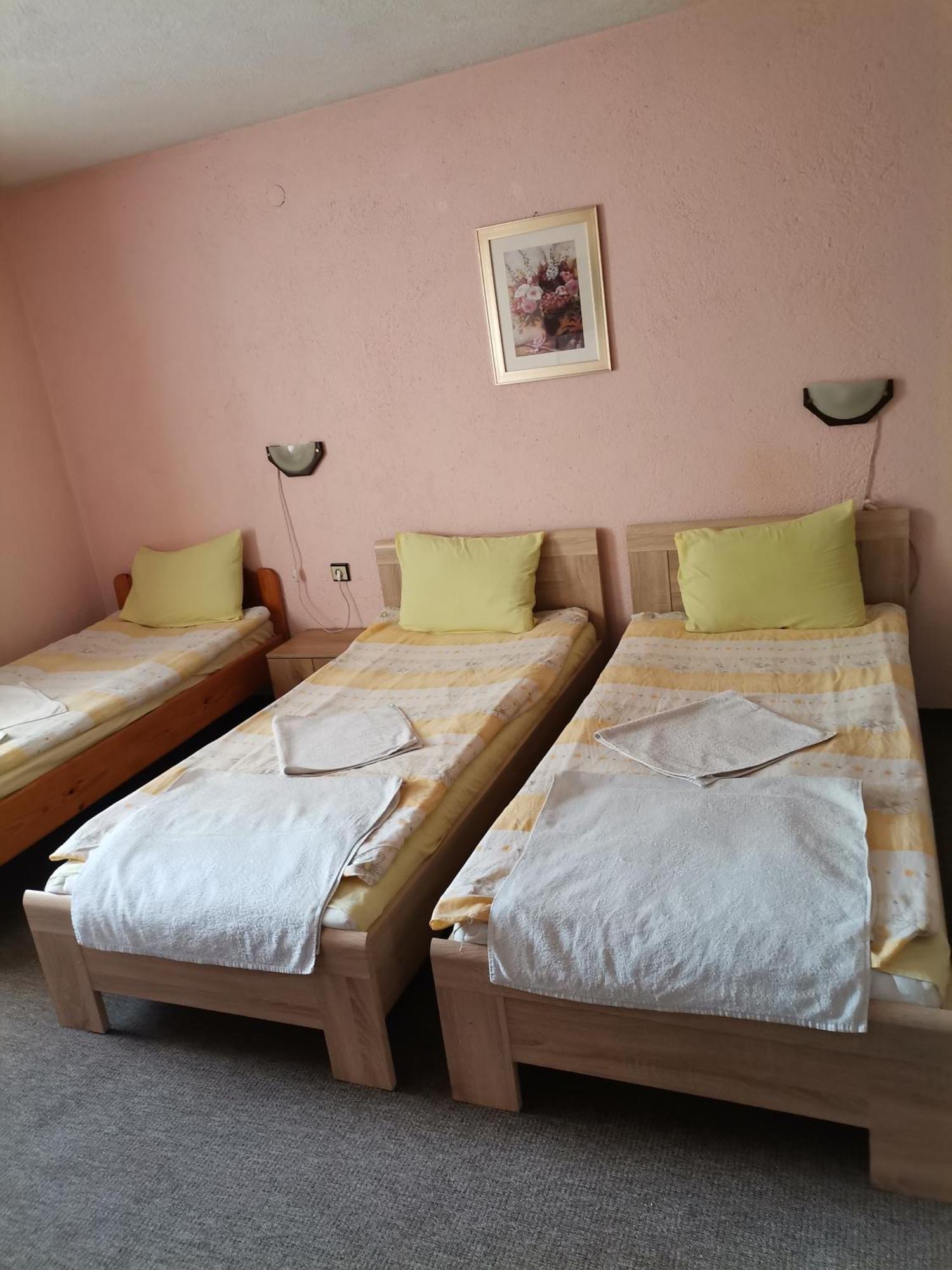 Family Hotel Santo Bansko Exterior photo
