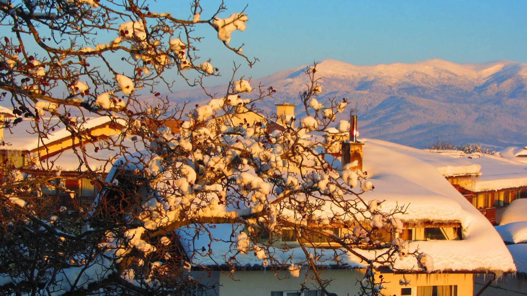Family Hotel Santo Bansko Exterior photo